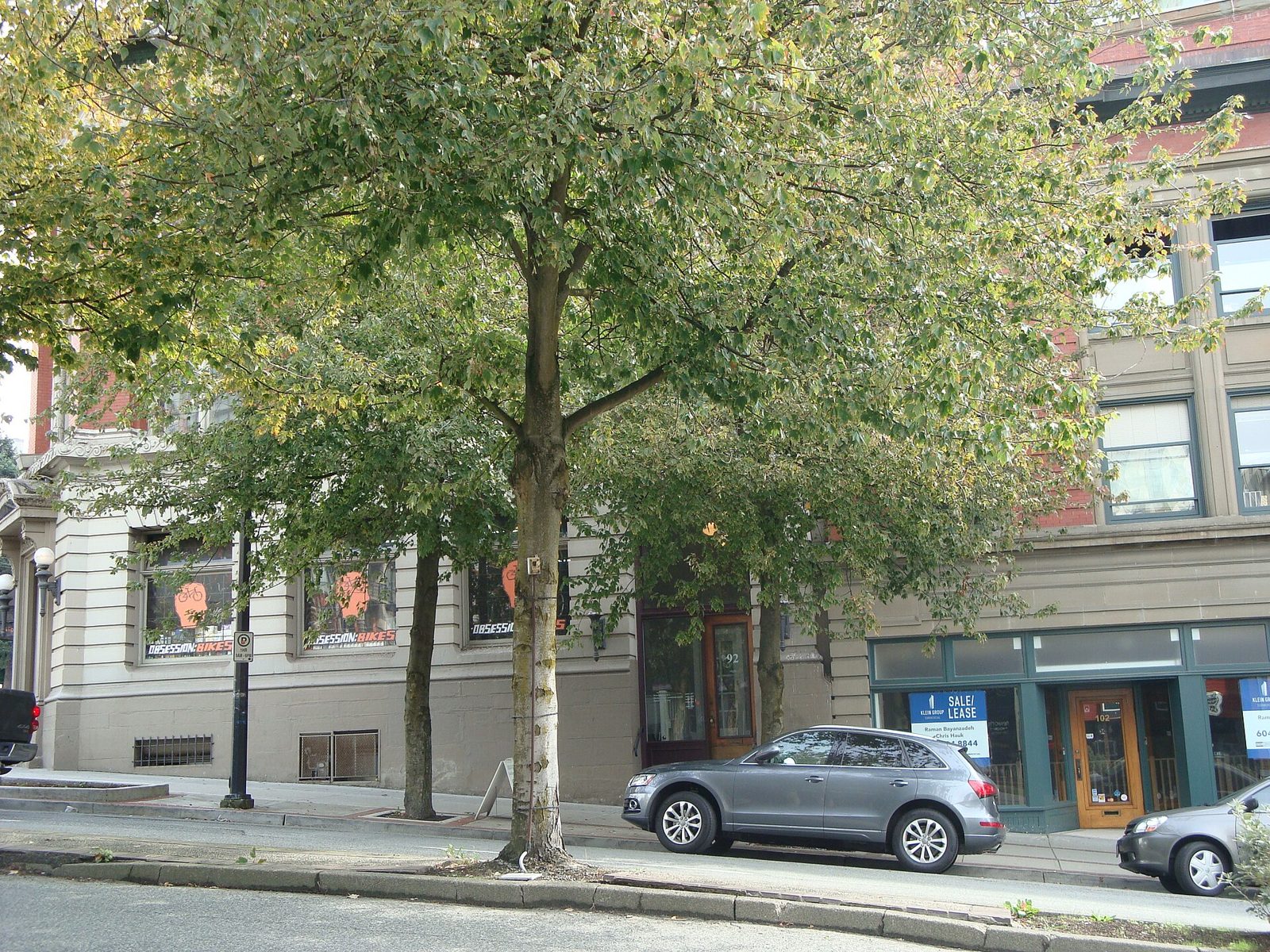 92 Lonsdale Avenue (3)