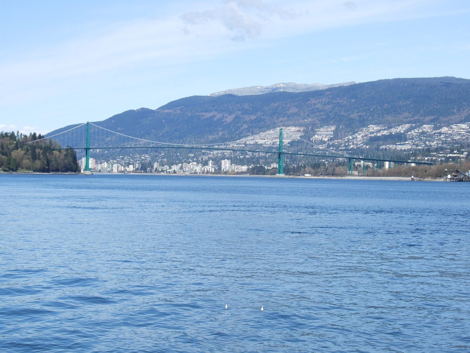 Lions Gate Bridge (First Narrows Bridge) 1