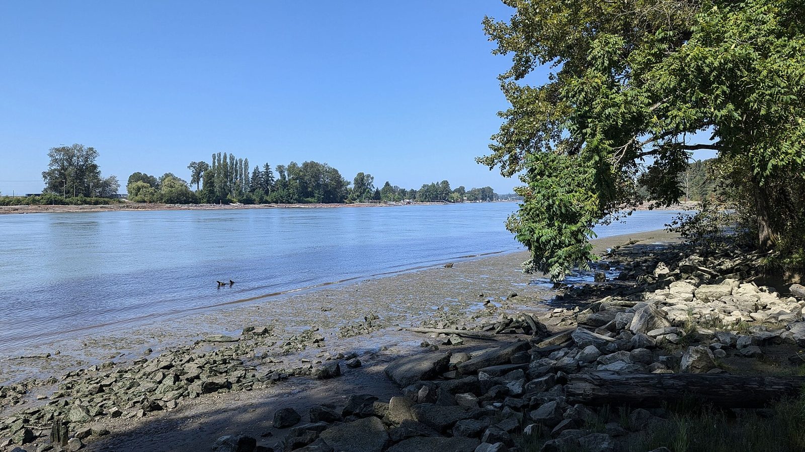 Burnaby Fraser Foreshore Park (2024)